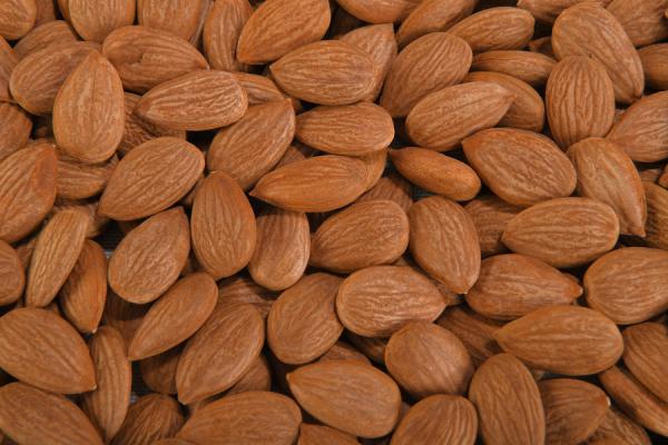 Natural Organik Tatlı Kayısı Çekirdeği