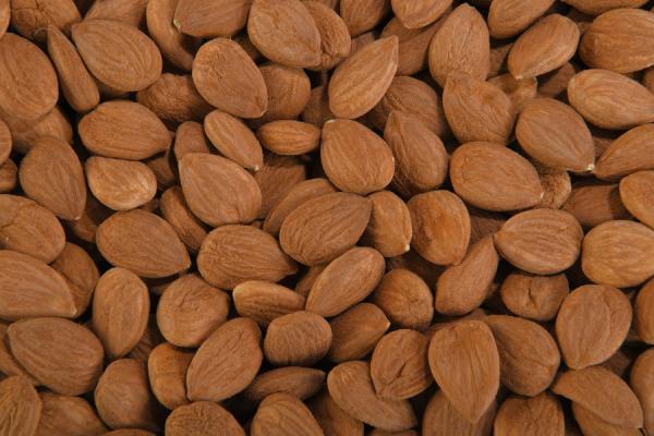 Natural Acı Kayısı Çekirdeği