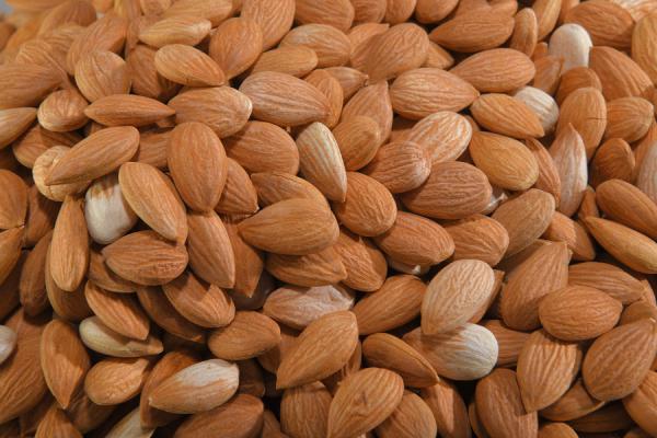 Natural Tatlı Kayısı Çekirdeği
