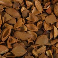 Apricot Kernel Shell