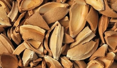 Where is Apricot Kernel Used?