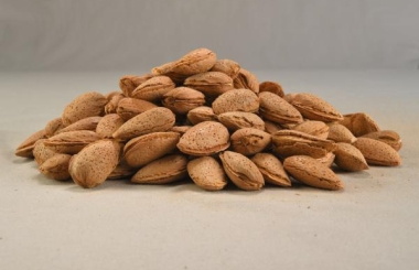 Shelled Bitter Almond