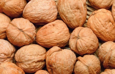 Walnuts in Shells