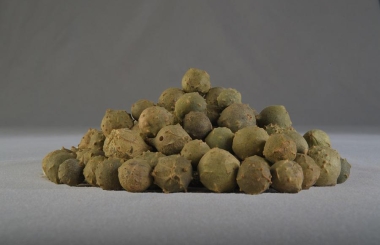Green Gallnut