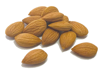 Apricot Kernel