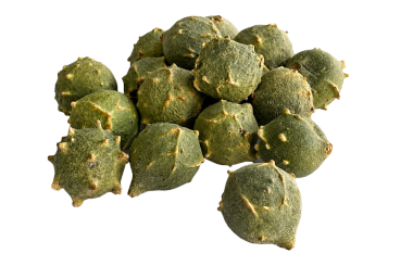 Gallnut