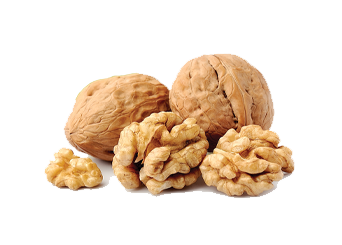 Walnut