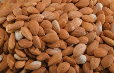 Organic Sweet Apricot Kernels