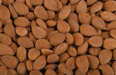 Bitter Apricot Kernel