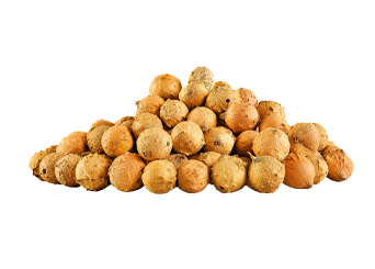 Gallnut