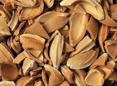 Where is Apricot Kernel Used?